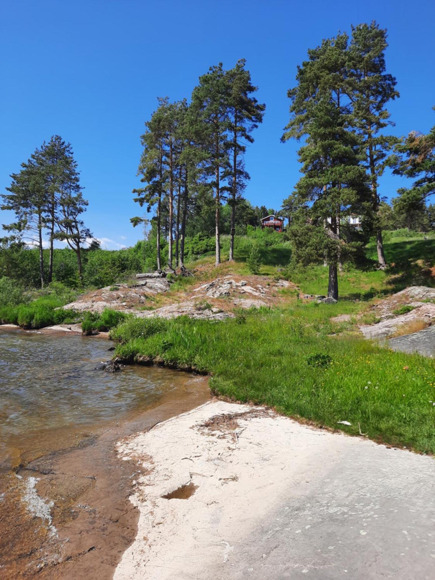 Norsjotunet Akkerhaugen المظهر الخارجي الصورة